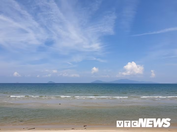 Du khach phan khich ke khoanh khac chung kien dan ca heo tram con o bien Cua Dai hinh anh 2