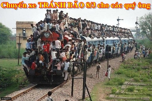 Hàng triệu quý ông lên đường lánh nạn.