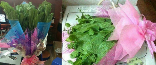 "Hoa tươi" tốt cho sức khỏe. Hoa tươi tốt cho sức khỏe.