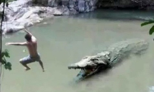 dang-sau-nguoi-dan-ong-thanh-cong