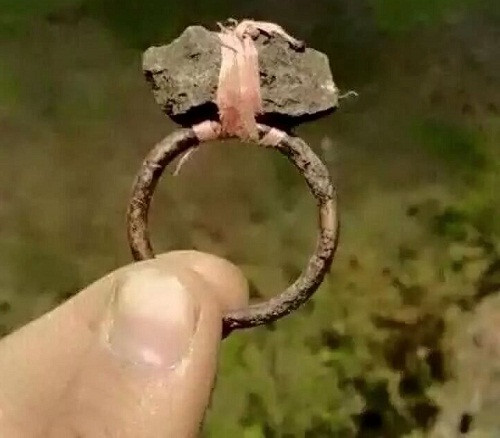 Nhẫn tình yêu vĩnh cửu. Nhẫn tình yêu vĩnh cửu.