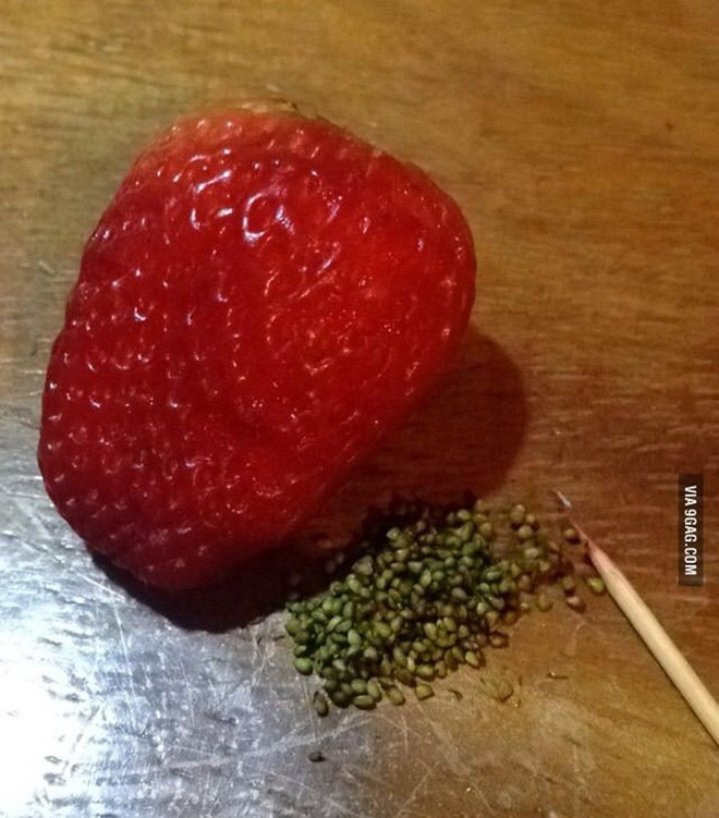 Không thể nhịn cười với những màn bóc tách đồ ăn của các nàng tấm rảnh việc nhất hệ mặt trời - Ảnh 1.