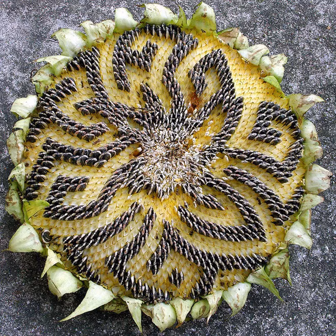 Không thể nhịn cười với những màn bóc tách đồ ăn của các nàng tấm rảnh việc nhất hệ mặt trời - Ảnh 23.