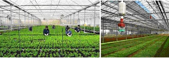 Nhân lực kỹ thuật cao trong lĩnh vực Nông nghiệp ở Việt Nam luôn có nhu cầu lớn Nhân lực kỹ thuật cao trong lĩnh vực Nông nghiệp ở Việt Nam luôn có nhu cầu lớn