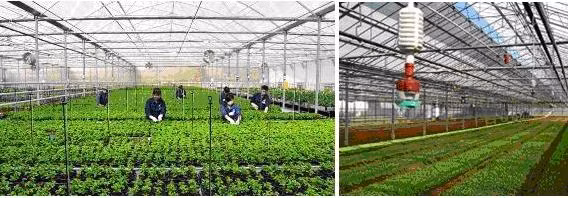 Nhân lực kỹ thuật cao trong lĩnh vực Nông nghiệp ở Việt Nam luôn có nhu cầu lớn