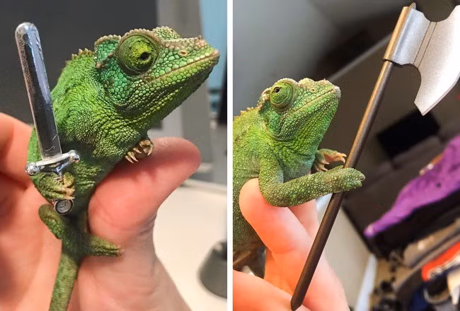 Những hình ảnh khiến bạn cảm thấy hoang mang như lạc vào hành tinh khác - Ảnh 8.