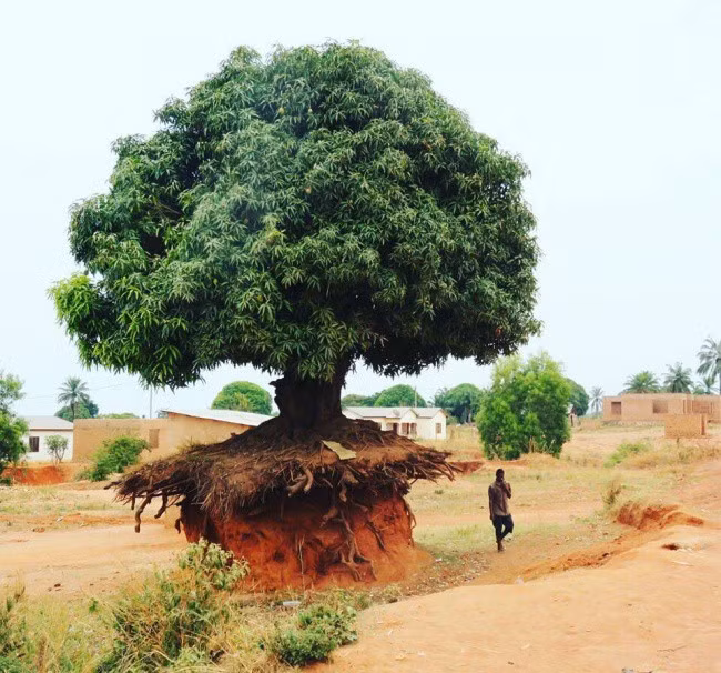 Những hình ảnh khiến bạn cảm thấy hoang mang như lạc vào hành tinh khác - Ảnh 12.