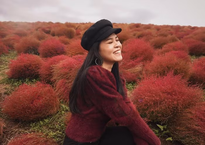 Công viên ven biển Hitachi (Nhật Bản) ngày cuối thu.