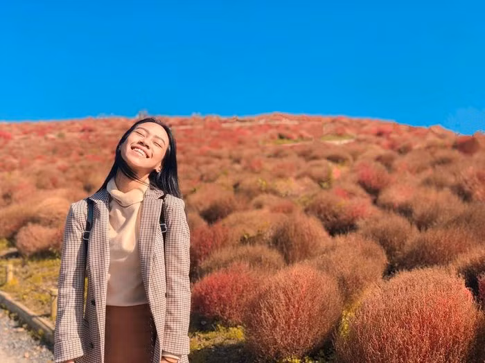 Đồi cỏ ở Nhật Bản đồng loạt chuyển màu đỏ rực ảnh 6