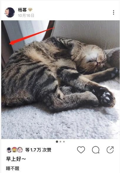 Rộ nghi vấn Dương Mịch cùng Ngụy Đại Huân về chung một nhà ảnh 8 Rộ nghi vấn Dương Mịch cùng Ngụy Đại Huân dọn về nhà sống chung với nhau? ảnh 8