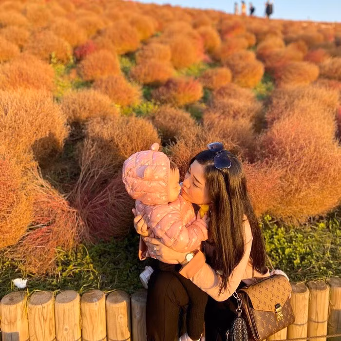 Đồi cỏ ở Nhật Bản đồng loạt chuyển màu đỏ rực ảnh 10