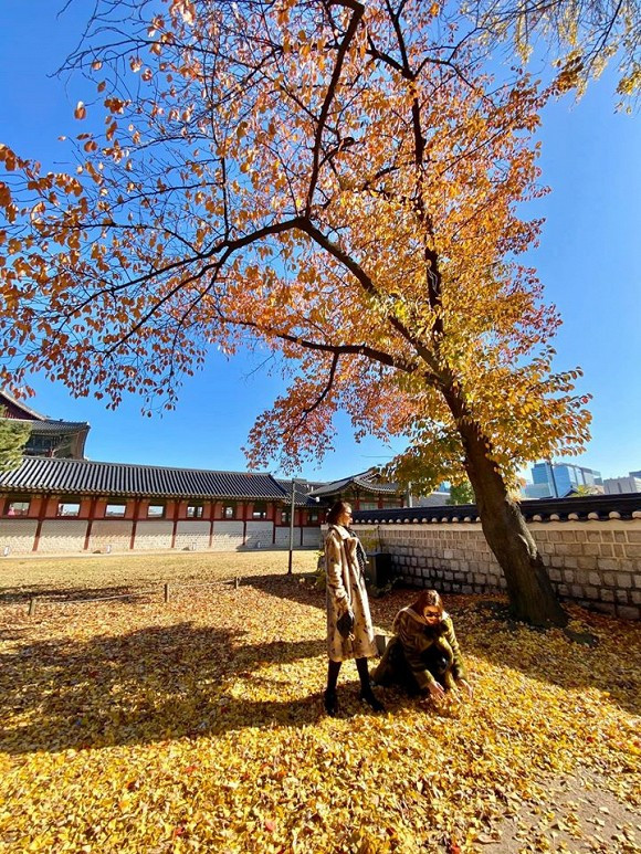 Kỳ Duyên, Kỳ Duyên mua hàng hiệu, sao việt 