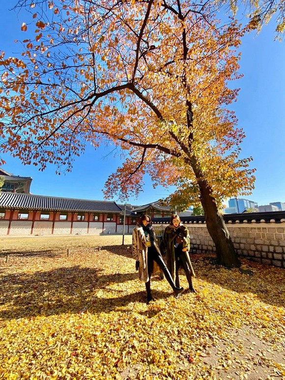 Kỳ Duyên, Kỳ Duyên mua hàng hiệu, sao việt 