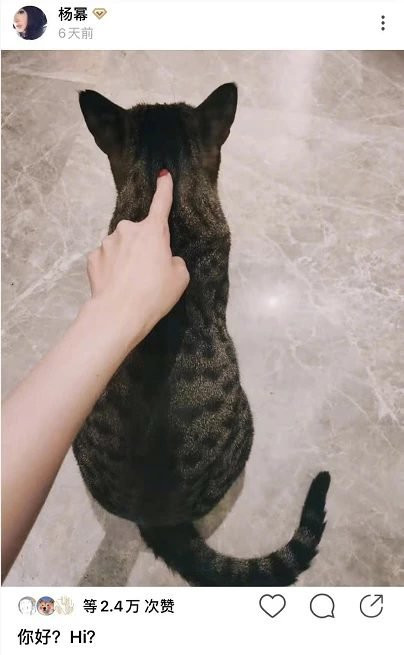 Rộ nghi vấn Dương Mịch cùng Ngụy Đại Huân về chung một nhà ảnh 5 Rộ nghi vấn Dương Mịch cùng Ngụy Đại Huân dọn về nhà sống chung với nhau? ảnh 5