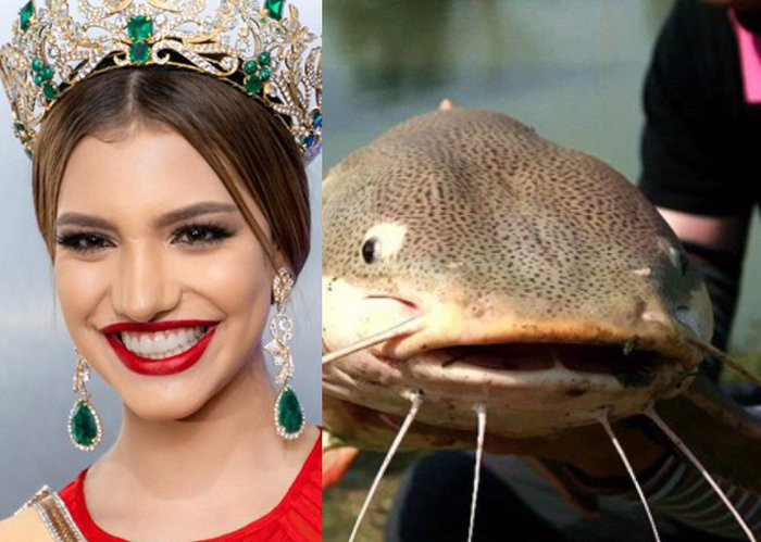 Họ so sánh khuôn miệng của cô rộng như khuôn miệng cá trê.