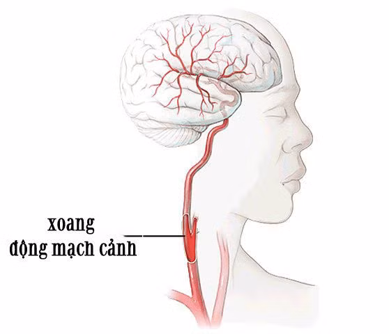 2 khu vực cấm hôn trên cơ thể kẻo nguy hiểm tính mạng ảnh 1 dung dai hon vao 2 khu vuc "cam ki" nay tren co the, da co nguoi thiet mang vi no - 3