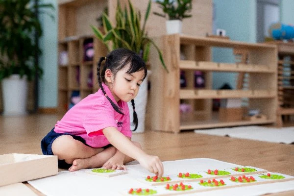 Học tập với giáo cụ trực quan chuẩn montessori quốc tế-giúp trẻ phát triển tư duy phù hợp với từng lứa tuổi học sinh