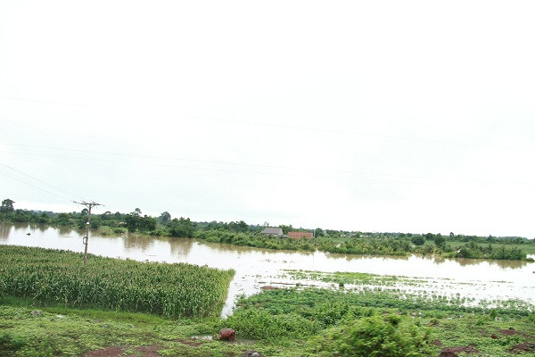 Nhiều diện tích hoa màu tại huyện Buôn Đôn và Ea Súp chìm trong biển nước.