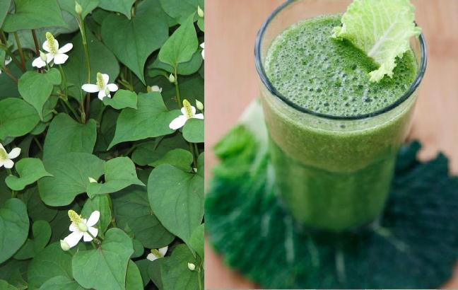 Chỉ cần uống loại nước này nhiệt miệng bao nhiêu cũng khỏi Chi can uong loai nuoc nay nhiet mieng bao nhieu cung khoi