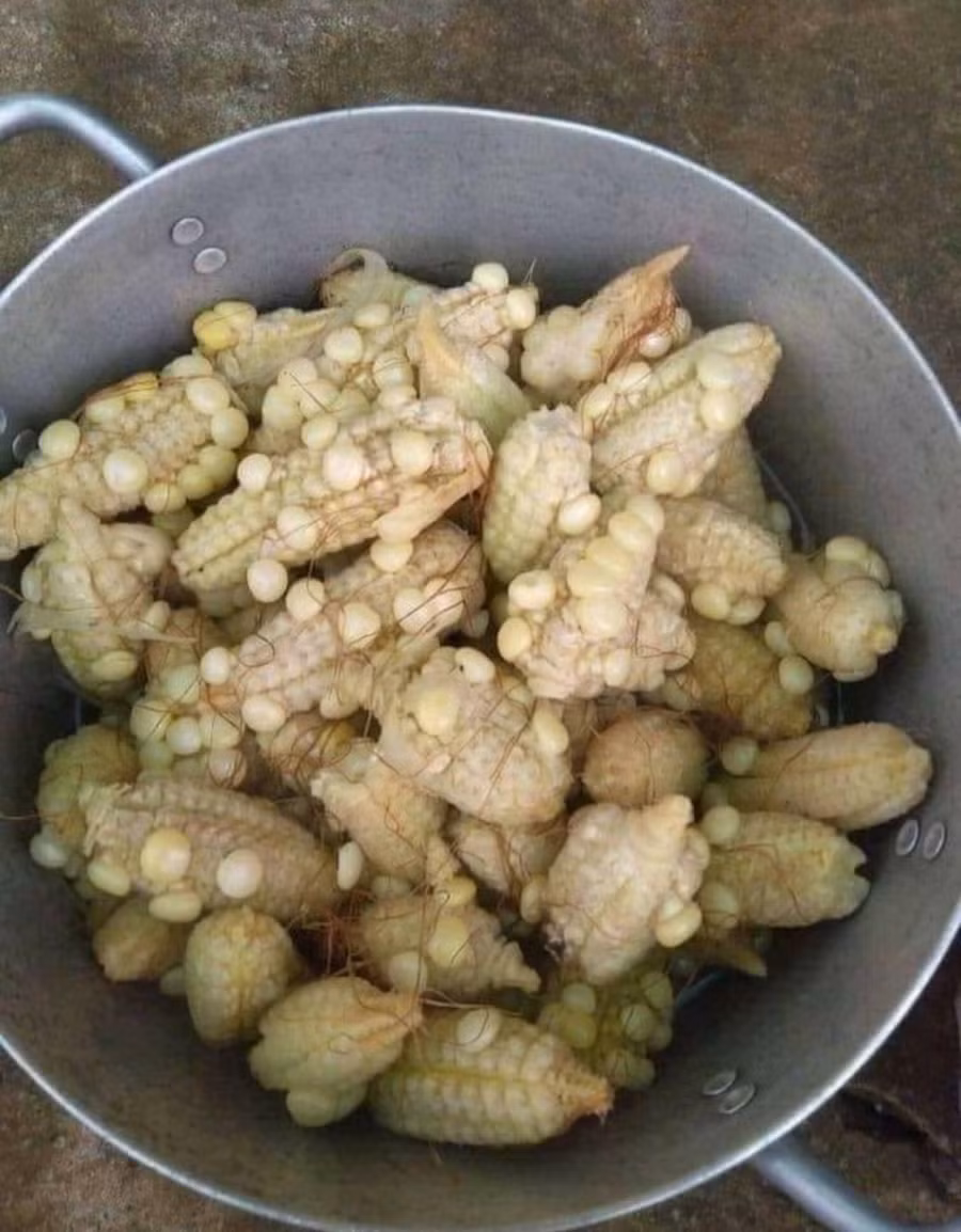 Đây là một câu chuyện buồn... Thế giới này thật đáng sợ