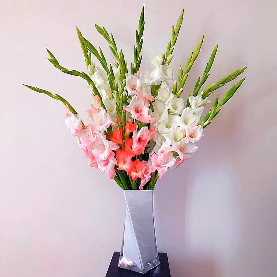 Trổ tài cắm hoa lay ơn theo cách “vạn người mê” của mẹ 8X ảnh 13