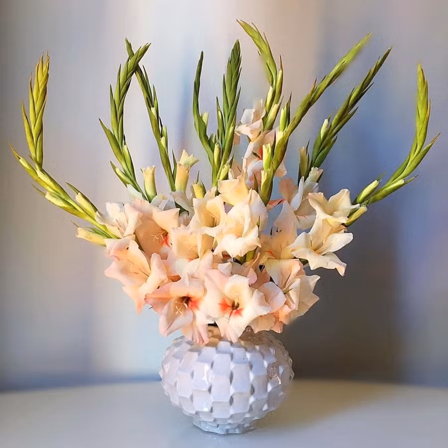 Trổ tài cắm hoa lay ơn theo cách “vạn người mê” của mẹ 8X ảnh 4