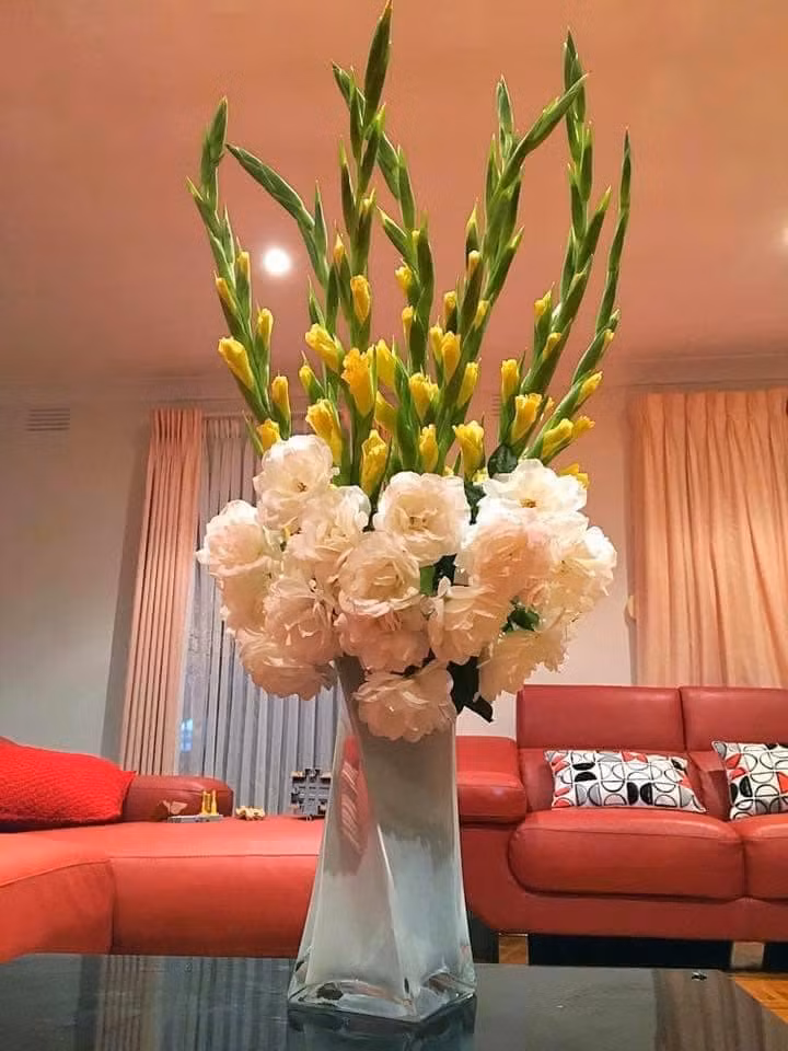 Hoa cho mùa đông ấm áp.