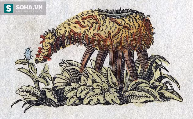 10 sinh vật trong thần thoại vẫn được tin rằng có thật ảnh 1