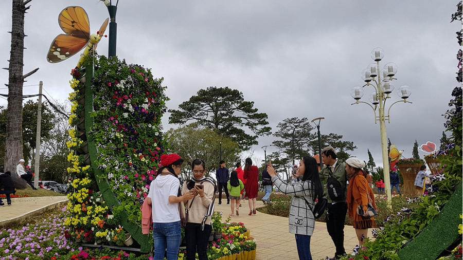 Đà Lạt cháy phòng, du khách dựng lều ngủ ở bờ hồ Xuân Hương ảnh 16 Da_Lat_qua_tai