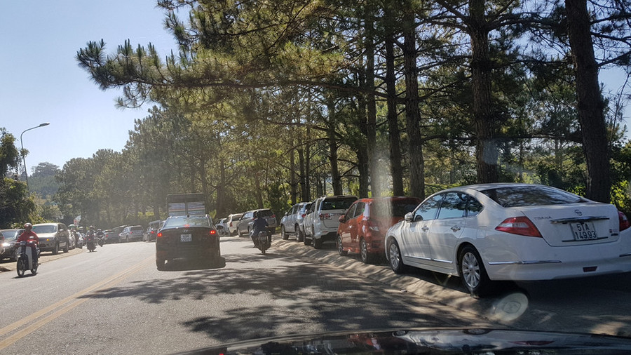 Đà Lạt cháy phòng, du khách dựng lều ngủ ở bờ hồ Xuân Hương ảnh 7 Da_Lat_qua_tai