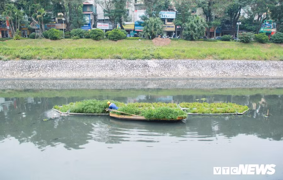 Sau 4 nam tha be thuy truc, nuoc song To Lich gio ra sao? hinh anh 2