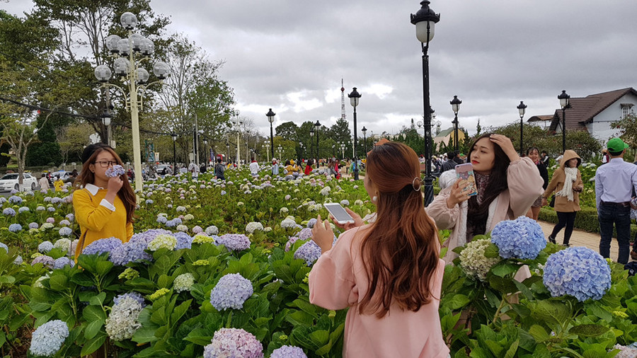 Đà Lạt cháy phòng, du khách dựng lều ngủ ở bờ hồ Xuân Hương ảnh 15 Da_Lat_qua_tai