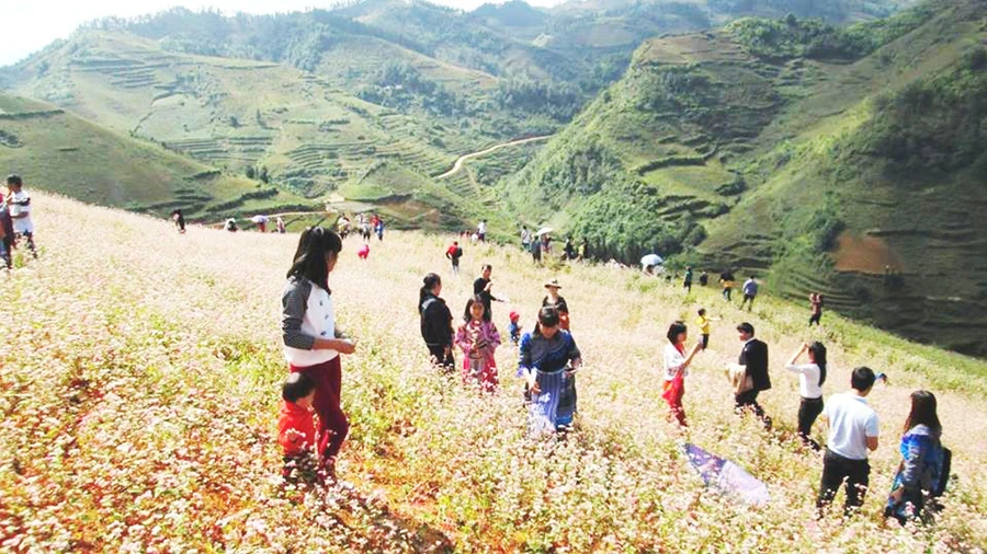 Hành trình du lịch theo những mùa hoa