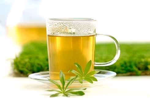 Trà thải độc cho gan.