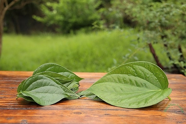 Mẹo trị hôi chân khi đi giày hiệu quả meo tri hoi chan khi di giay hieu qua