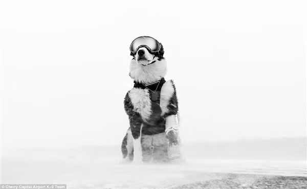 Ngả mũ trước nhân viên đường băng cool ngầu chất chơi nhất thế giới