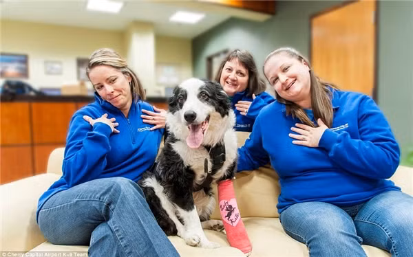 Nhân viên sân bay rất yêu thương chú chó 