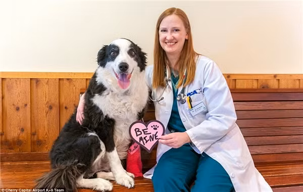 Ngả mũ trước nhân viên đường băng cool ngầu chất chơi nhất thế giới