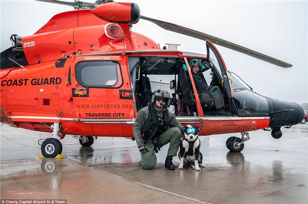 K9 Piper và các phi công trong một ngày mưa. (Ảnh: Internet) K9 Piper và các phi công trong một ngày mưa. (Ảnh: Internet)