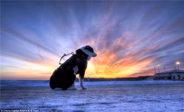 Ngả mũ trước nhân viên đường băng cool ngầu chất chơi nhất thế giới