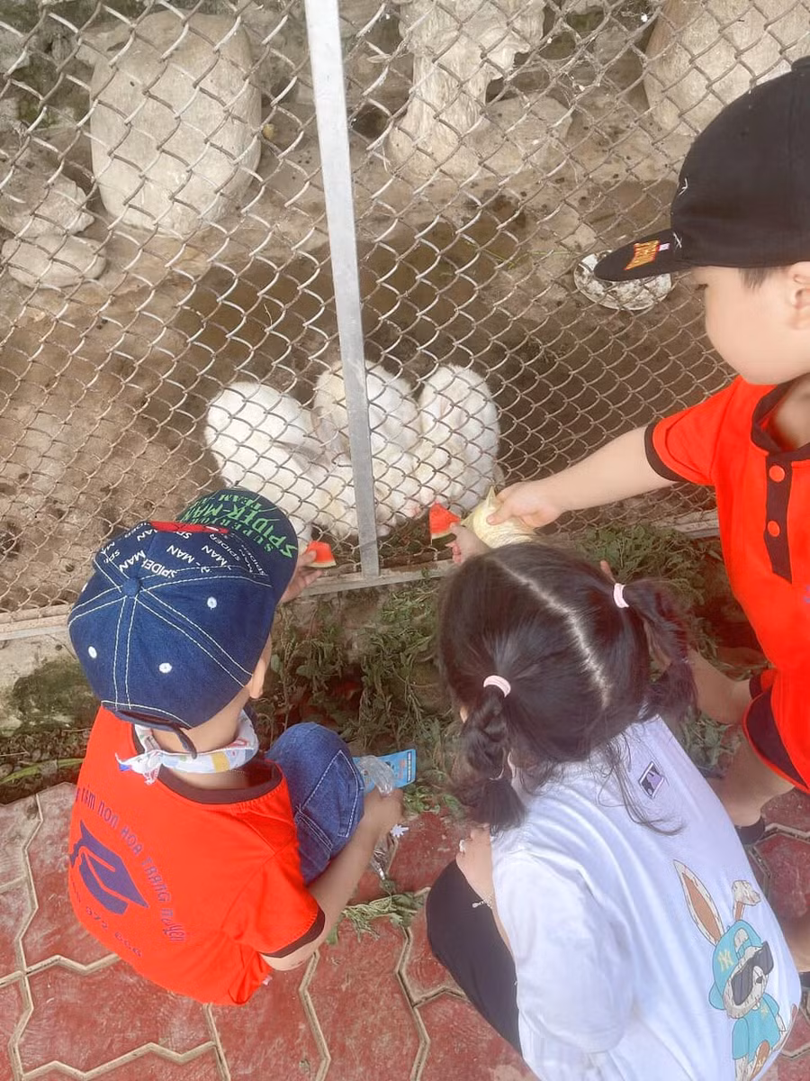 Chuyến đi trải nghiệm thực tế của cô và trò trường Mầm non Hoa Trạng Nguyên. Chuyến đi trải nghiệm thực tế của cô và trò trường Mầm non Hoa Trạng Nguyên.