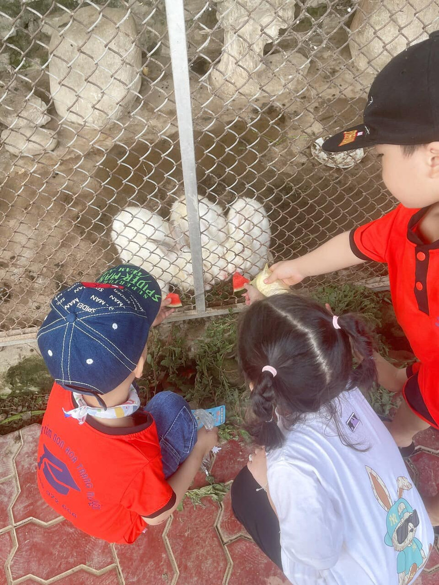 Chuyến đi trải nghiệm thực tế của cô và trò trường Mầm non Hoa Trạng Nguyên. Chuyến đi trải nghiệm thực tế của cô và trò trường Mầm non Hoa Trạng Nguyên.