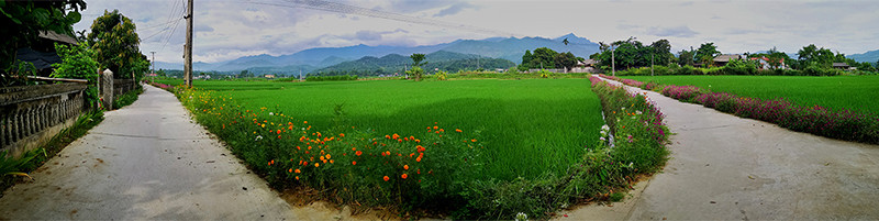 Rực rỡ sắc hoa những con đường ở Yên Bái ảnh 7 Đẹp nao lòng những con đường rực rỡ sắc hoa ở Yên Bái