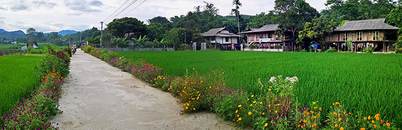 Rực rỡ sắc hoa những con đường ở Yên Bái ảnh 1 Đẹp nao lòng những con đường rực rỡ sắc hoa ở Yên Bái