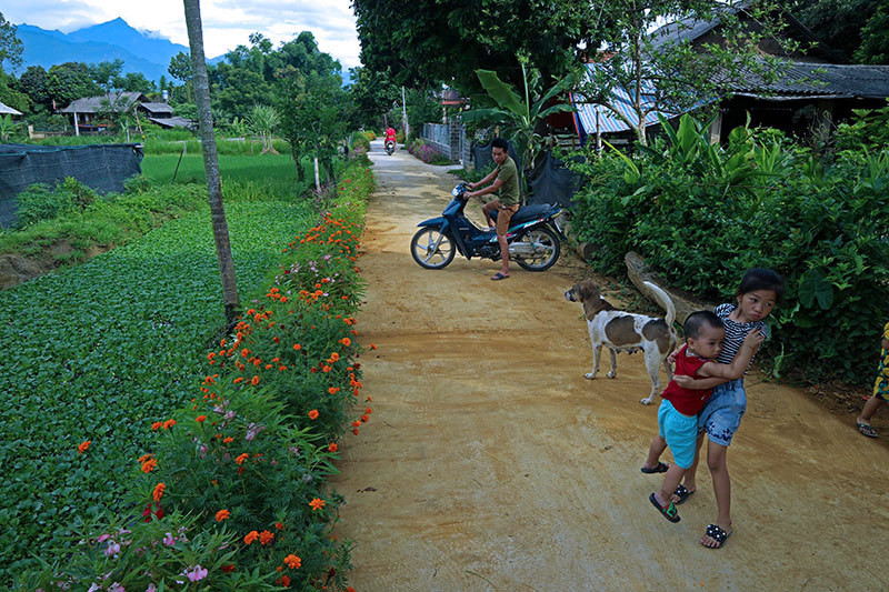 Rực rỡ sắc hoa những con đường ở Yên Bái ảnh 13 Đẹp nao lòng những con đường rực rỡ sắc hoa ở Yên Bái