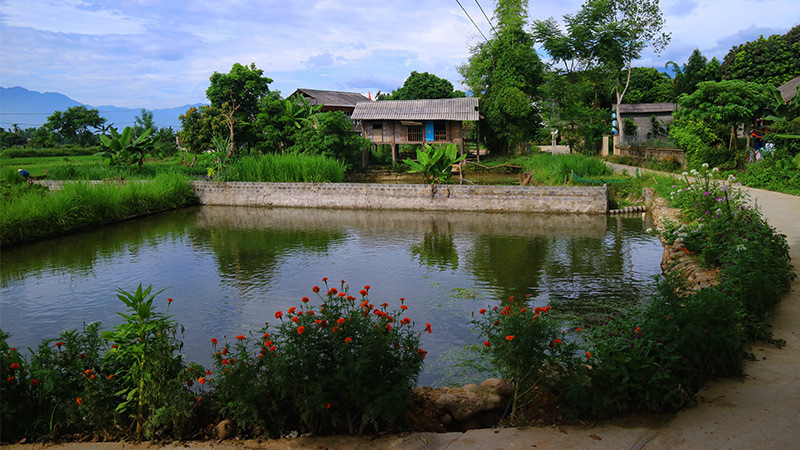 Rực rỡ sắc hoa những con đường ở Yên Bái ảnh 6 Đẹp nao lòng những con đường rực rỡ sắc hoa ở Yên Bái