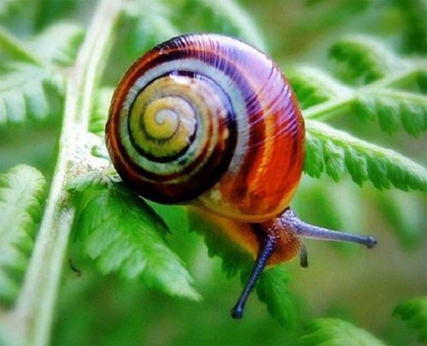 mang 1 chut bia do ra vuon, sang ra dui mat 3 lan vi canh la kho tin - 5