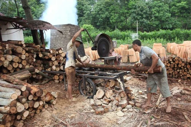 Tiêu chí việc làm được đưa vào chuẩn nghèo đa chiều để phân loại đối tượng và đưa ra giải pháp tiếp cận phù hợp.