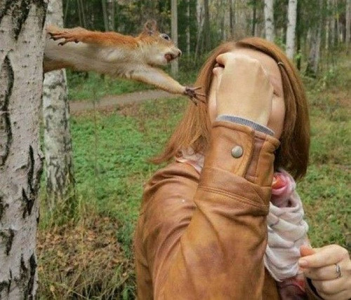 Miếng ăn là miếng tồi tàn. Miếng ăn là miếng tồi tàn.