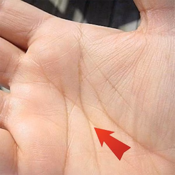 4 điểm cực hiếm trên bàn tay mang đến vô số lộc lá cho người sở hữu ảnh 2 553